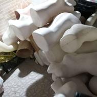 مانکن زنانه و مردانه