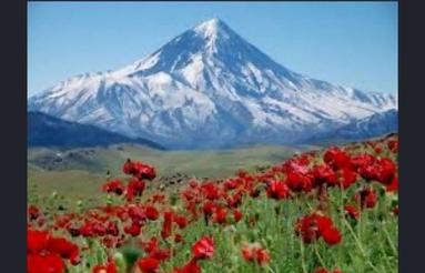 138 متر زمین استسنائی در حاج دلا