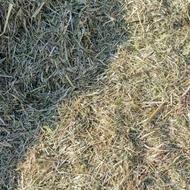 گزره گیاه خردشده