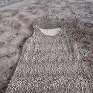 همه دونه ای صد برای افرادلاغر