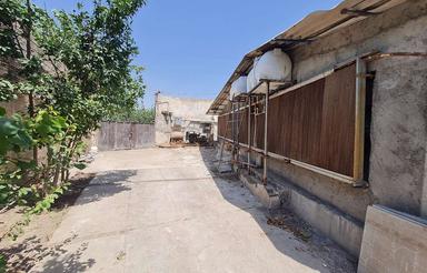 اجاره مرغداری 15000 هزارتایی