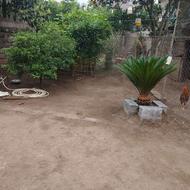 خانه ویلایی دررودسر چافجیر