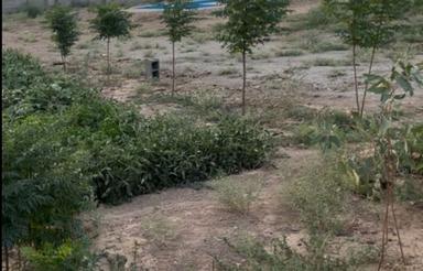 1000 متر زمینهای قطعه بندی شهرک قله طلا