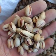 پسته باغی درجه یک
