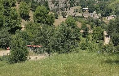 فروش زمین مسکونی 1000متر روستای رینه