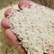 فروش برنج طارم هاشمی از بهترین شالیزارهای شمال