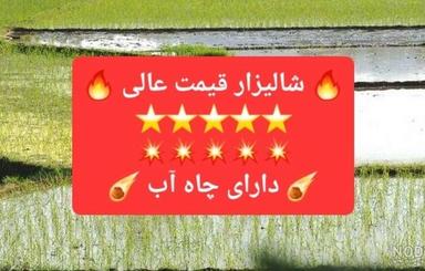 فروش زمین شالیزار 9,000 متری ذغال چال