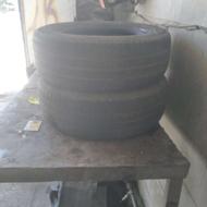 دوعددلاستیک