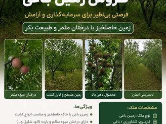 زمین کشاورزی فروش فوری