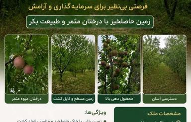 2000 متر زمین کشاورزی فروش فوری