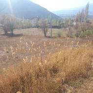 زمین زراعی آلودر ارجمند و حاصلخیز جهت کشاورزی صنعتی