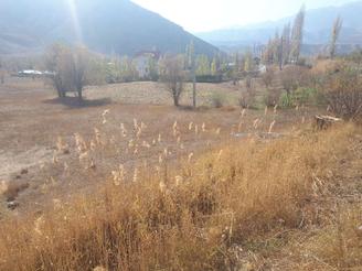 زمین زراعی آلودر ارجمند و حاصلخیز جهت کشاورزی صنعتی