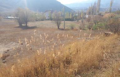 زمین زراعی آلودر ارجمند و حاصلخیز جهت کشاورزی صنعتی