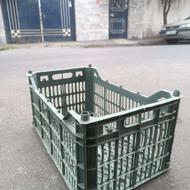 سبد گوجه 660 گرمی