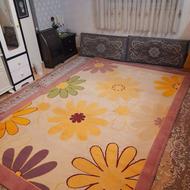 فرش 6 متری طرح گلیم