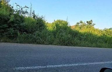 فروش زمین تجاری مسکونی210 متر دربحراتوبان چینی جان رودسر