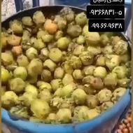 گردو پوست کن جاهدی
