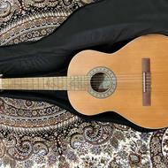 گیتار کلاسیک پارسی D6