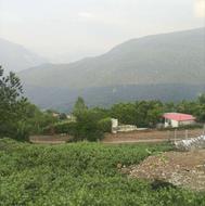 فروش زمین نقلی در روستای توریستی و خوش آب و هوا پاقلعه