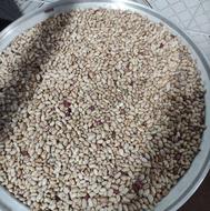 فروش لوبیاچیتی درجه یک تازه چین. در نکا