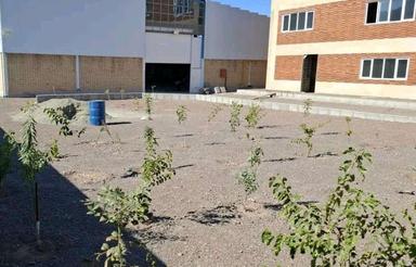 فروش صنعتی 4700 متر برق 400گاز جی 65در اشتهاردکد 5658