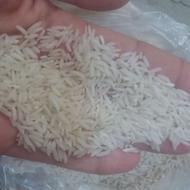 خدمات وکسب وکار مواد غذایی