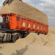 کاه نیشکر تازه