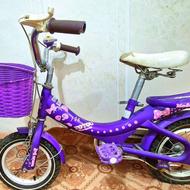 دوچرخه بنفش