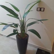 درختچه مصنوعی و گلدان 