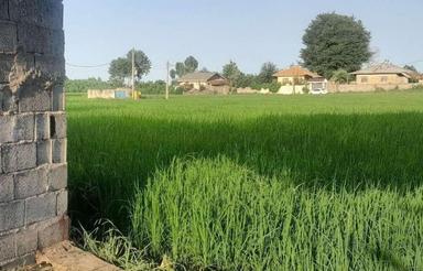 فروش زمین مسکونی 290 متر در سالومحله