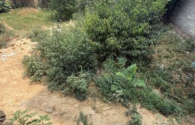 فروش زمین مسکونی 140 متر در خیابان ساری