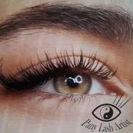 آموزش و خدمات اکستنشن مژه پانی