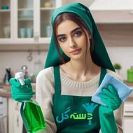 خانم تمیز کار با نظافت