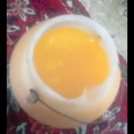 ساری یاغ (گاو)