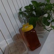 عسل طبیعی گون
