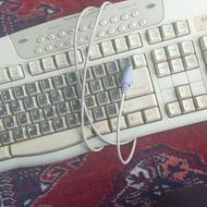 کیبورد کامپیوتر