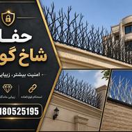 حفاظ شاخ گوزنی