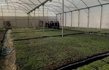 فروش مجموعه کامل گلخانهای و زمین کارگاهی در کازرون