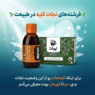 سنگ کلیه رو مثل کره آب کن