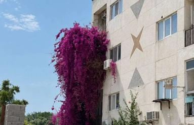 فروش آپارتمان 78 متر در بلوار ذوالفقاری