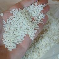 برنج طارم هاشمی علا پارساله بدون هیچ حشره ای 30کیلو