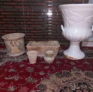 5 عدد گلدان