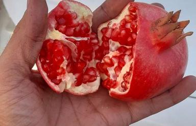 500 متر باغچه سند دار