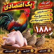 پک اختصادی: یخچال خونتو پر کن