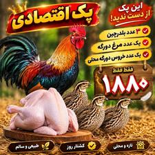 پک اختصادی: یخچال خونتو پر کن