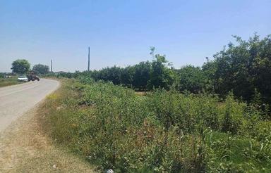 فروش زمین باغی