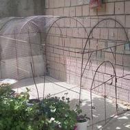 قفس همه کاره