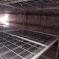 قفسه بندی سالن قارچ
