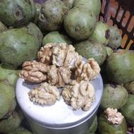 گردو مغز سفید امسال