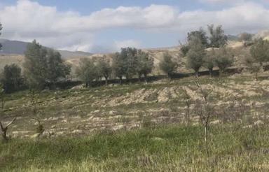 1000متر زمین در اسوران